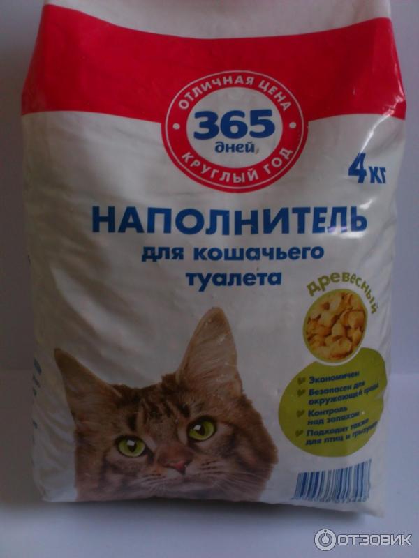 Как выбрать лучший наполнитель для кошачьего туалета