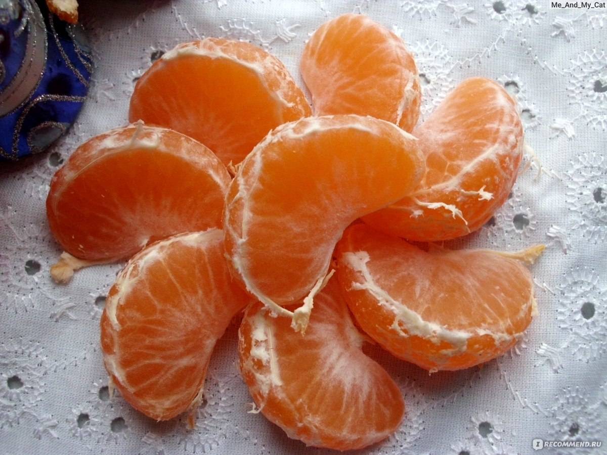 Можно ли хомяку мандарины