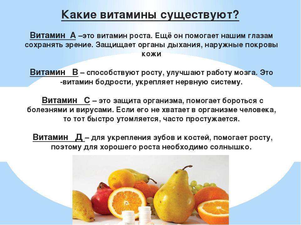 Чем кормить морских свинок