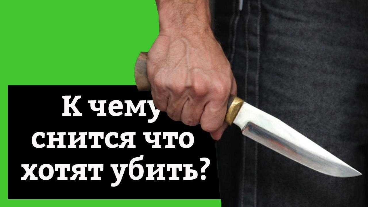 Убить кошку во сне: толкование образа по различным сонникам