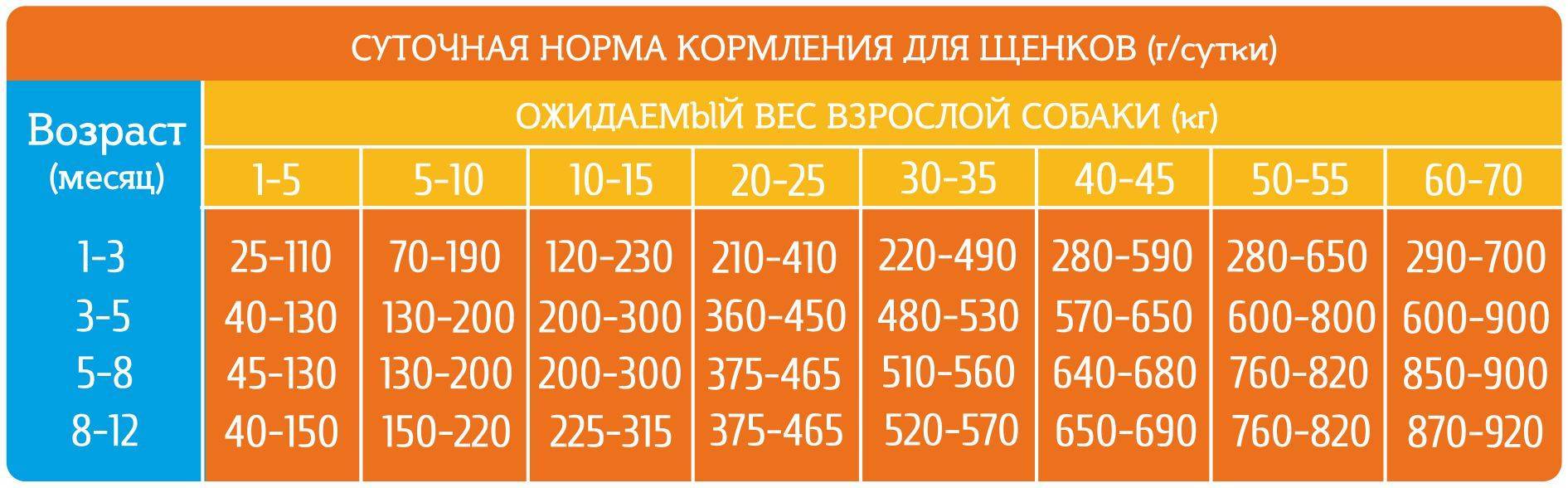 Как кормить собаку сухим кормом: дозировки, щенка, взрослую собаку, зимой, в теплое время года