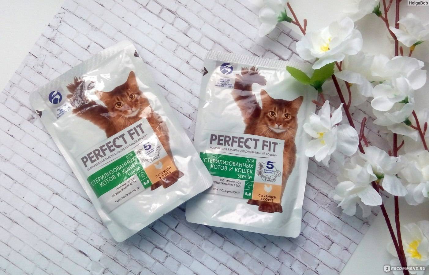 Честный обзор сухих и влажных кормов от perfect fit для котов и котят