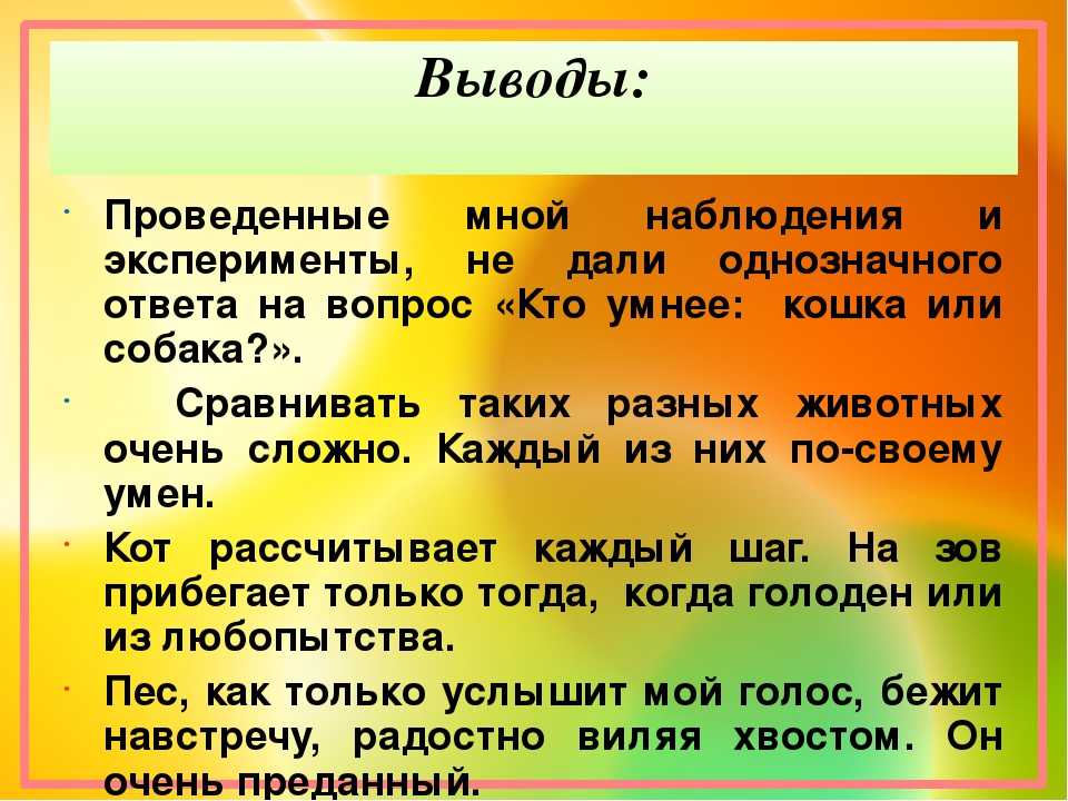 Кто умнее, кошки или собаки: сравнение интеллекта питомцев