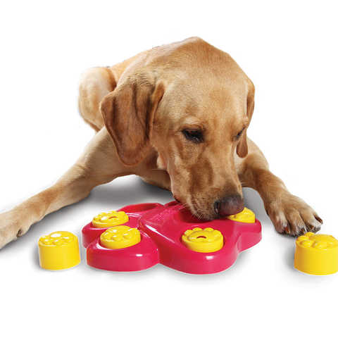 Игрушки для собак: топ рейтинг 2021 года самых интересных игрушек для собак (виды, правила выбора, рекомендации)
