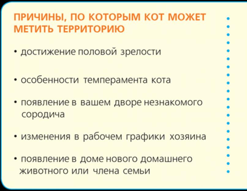 Как отучить вашего кота мочиться в неположенных местах