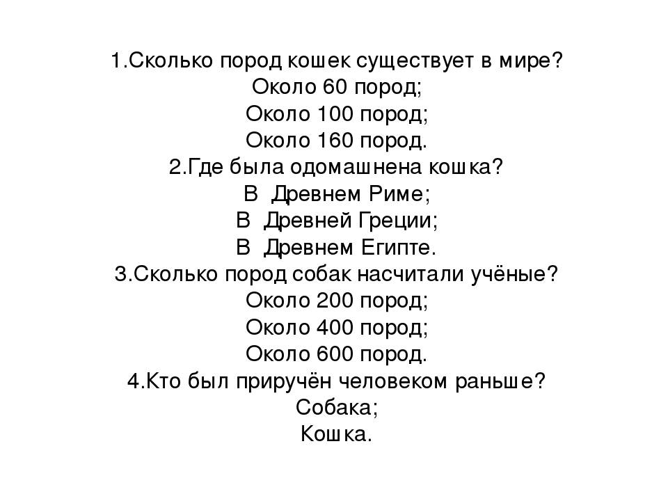 Кошка | котопедия | fandom