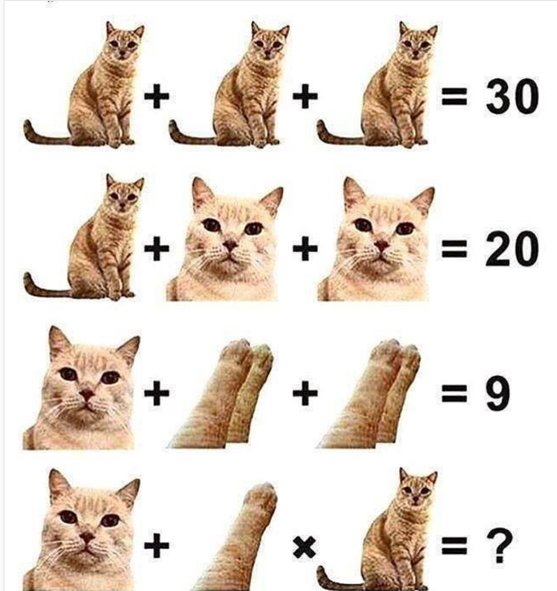 Сколько пород кошек существует в мире?