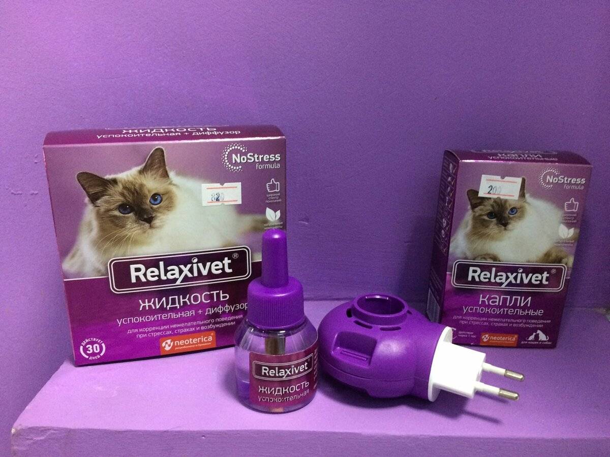 5 лучших успокоительных средств для кошек - рейтинг 2020