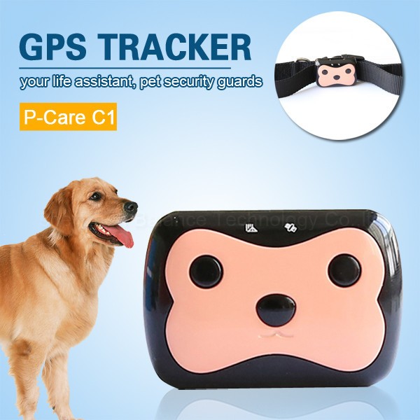 Ошейник с gps для собак: виды, характеристики и популярные модели