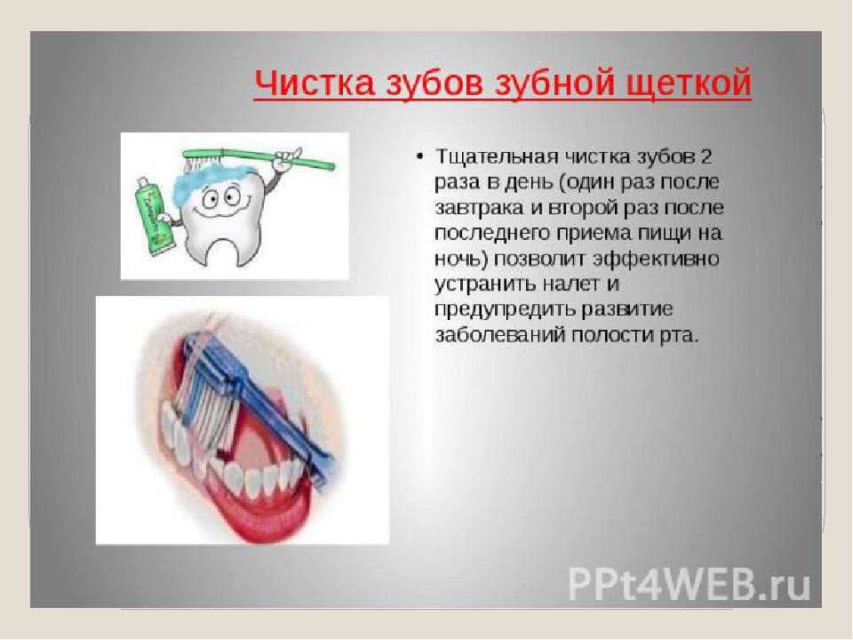 Зубная щетка: уход и дезинфекция