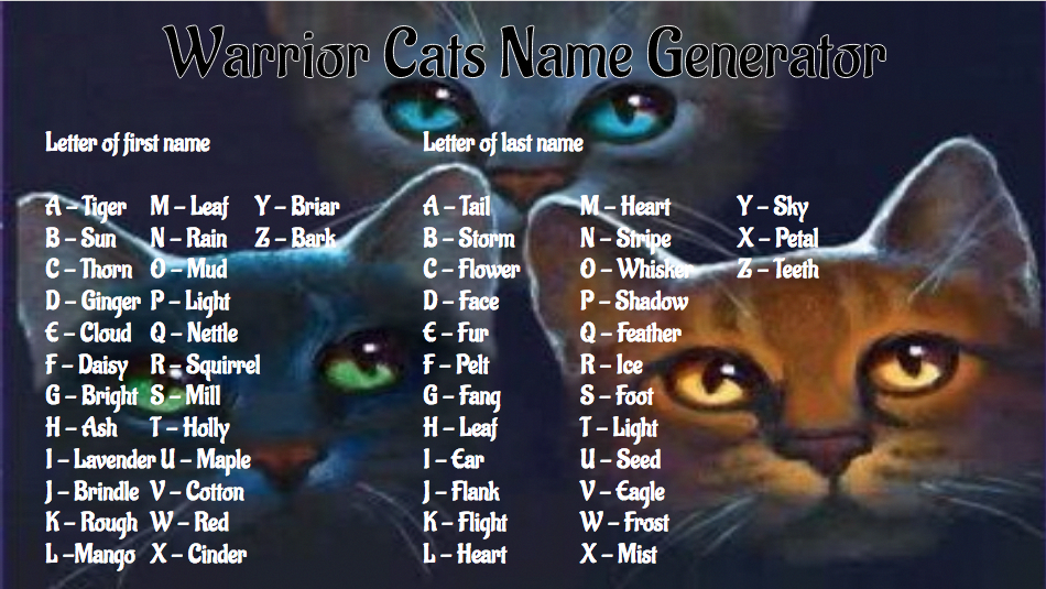 Клички для котов. Имена для кошек. Интересные имена для котов. Красивые клички для кошек. Имя для черно белого кота