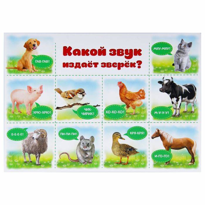 Хотите знать о чём поведал кролик ?