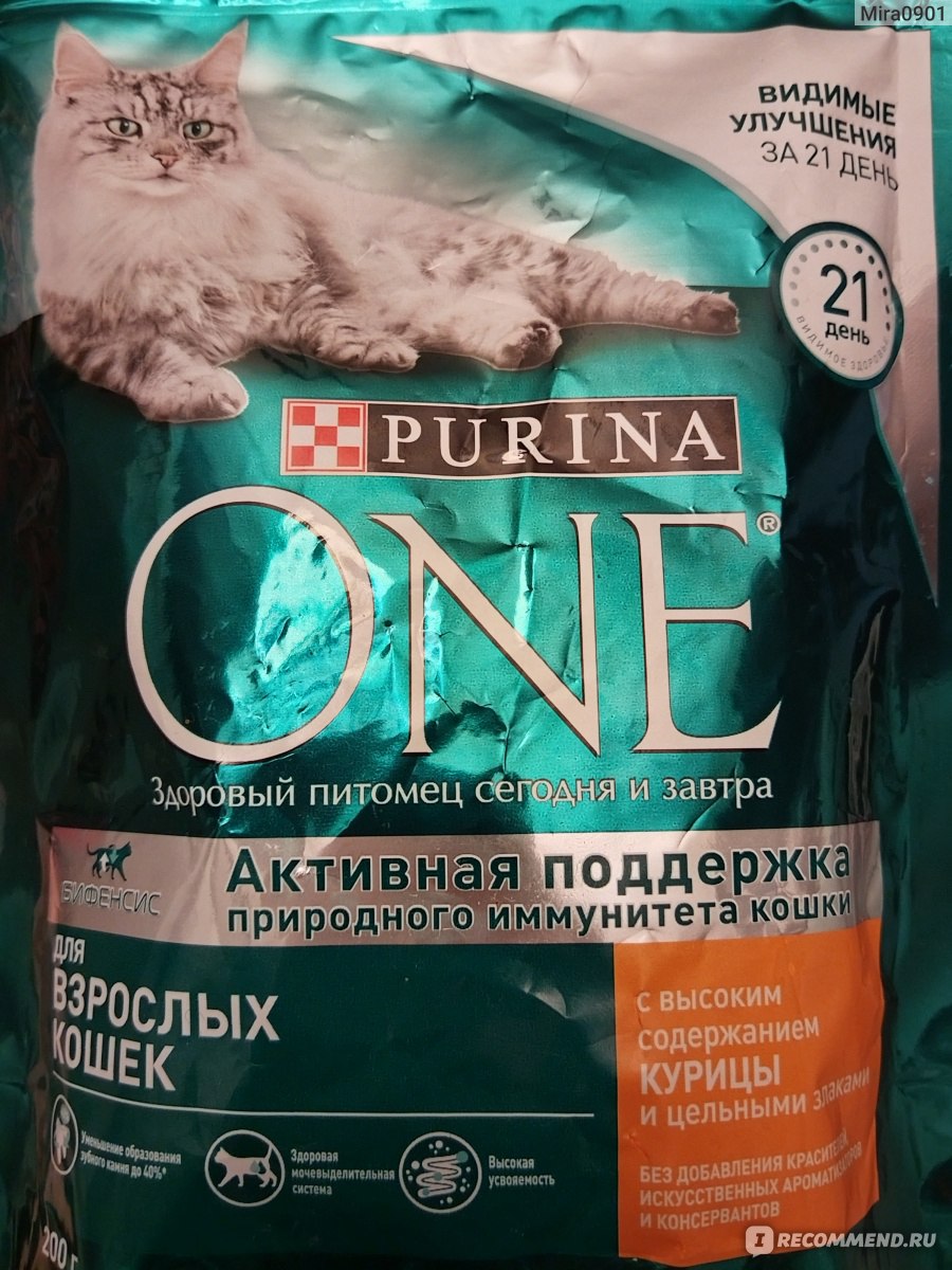 Пурина: корм для кошек и котят, о сухих и влажных видах