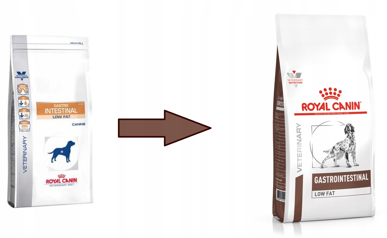 Royal canin gastro intestinal для кошек – из чего состоит и когда необходимо применять корм?