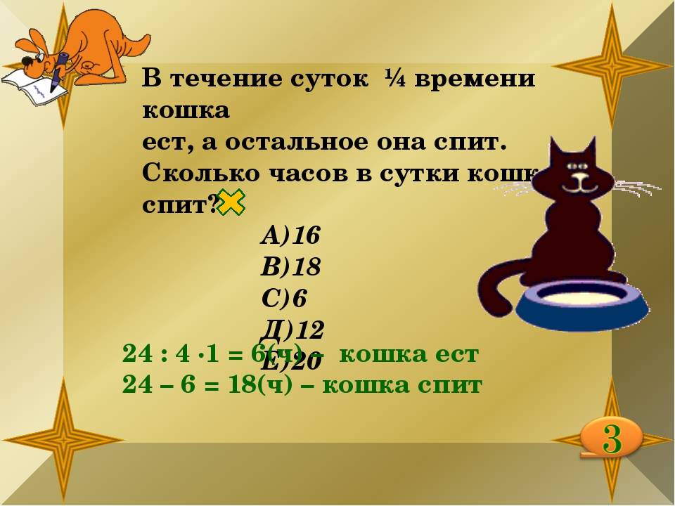 Почему кошка много спит