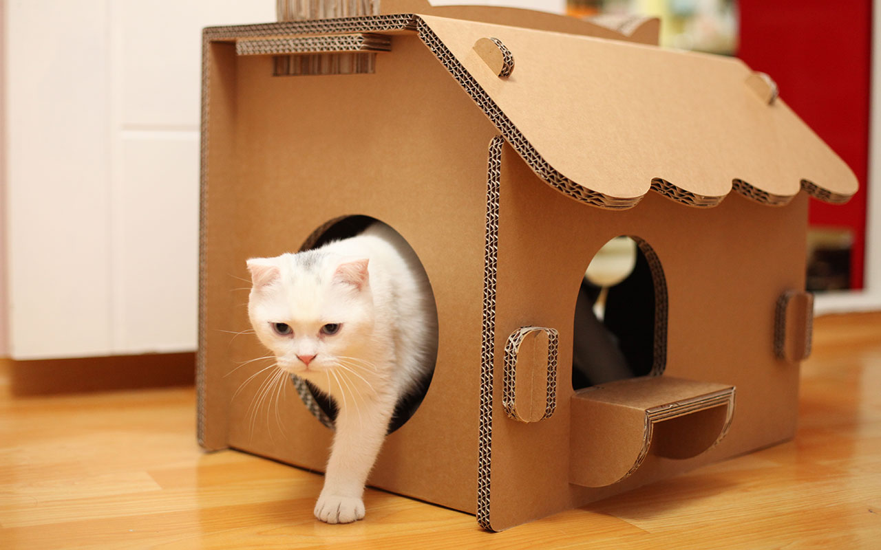 Домик для кошки своими руками из картонной коробки, лежанка для кошки, чертежи с размерами