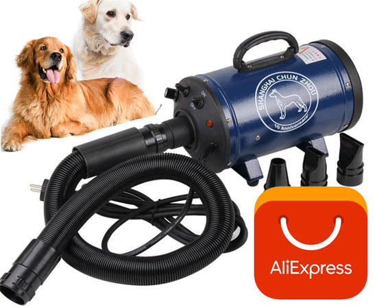 10 лучших воздушных компрессоров безмасляного типа – рейтинг 2021