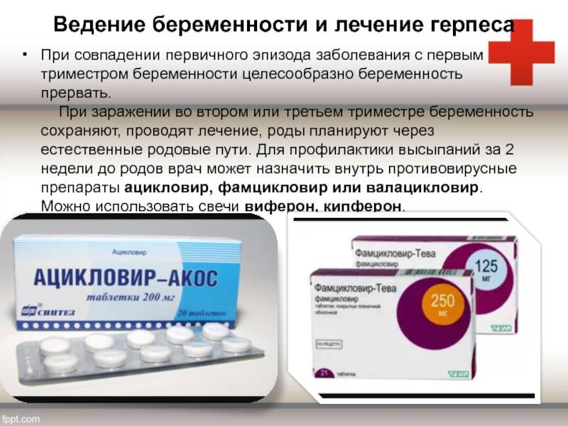 Герпесвирусная инфекция собак: симптомы и лечение