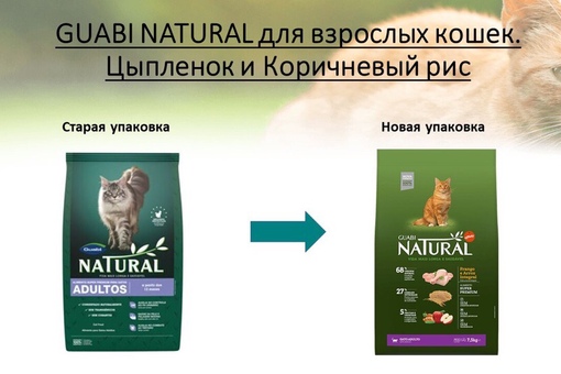 Корм для кошек guabi (гуаби): плюсы и минусы, отзывы ветеринаров