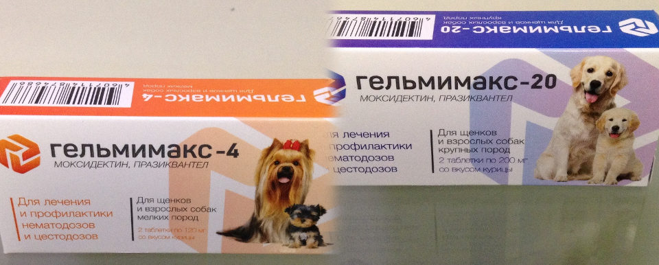 Инструкция по применению препарата «гельмимакс-4» для избавления кошки от глистов