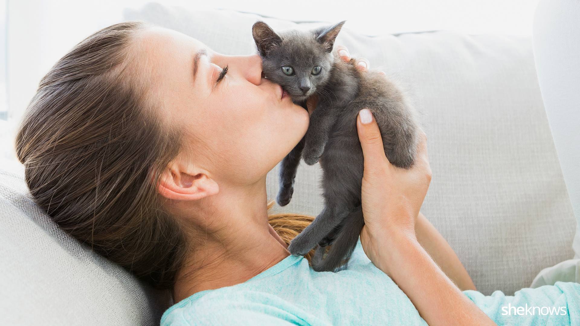 Любят ли кошки поцелуи и объятия? — сайт эксперта по животным — howmeow
