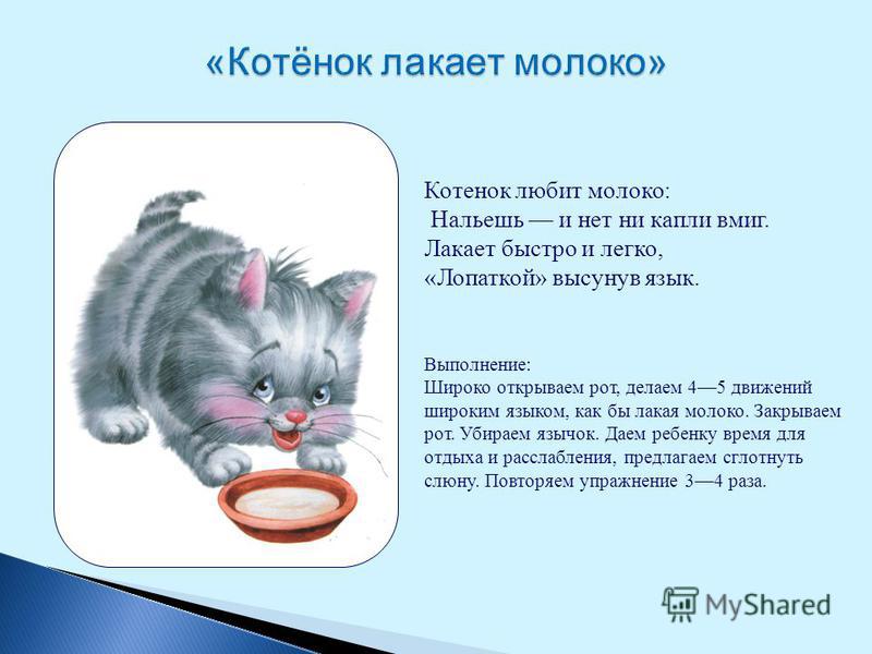 Котенок лакает молоко схема предложения подготовка к школе