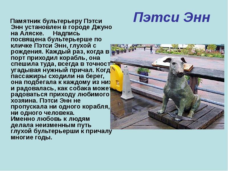 10 памятников собакам – за преданность и верность