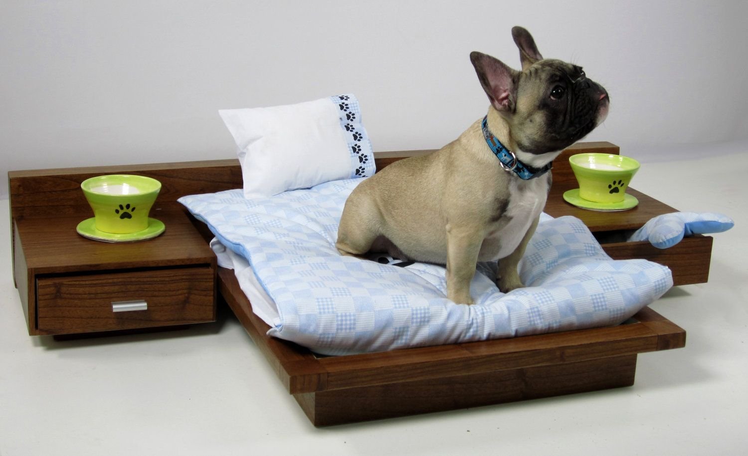 Щенок не спит ночью. что делать? | dogkind.ru