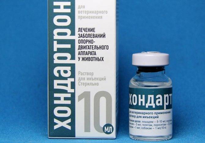 Хондартрон для собак