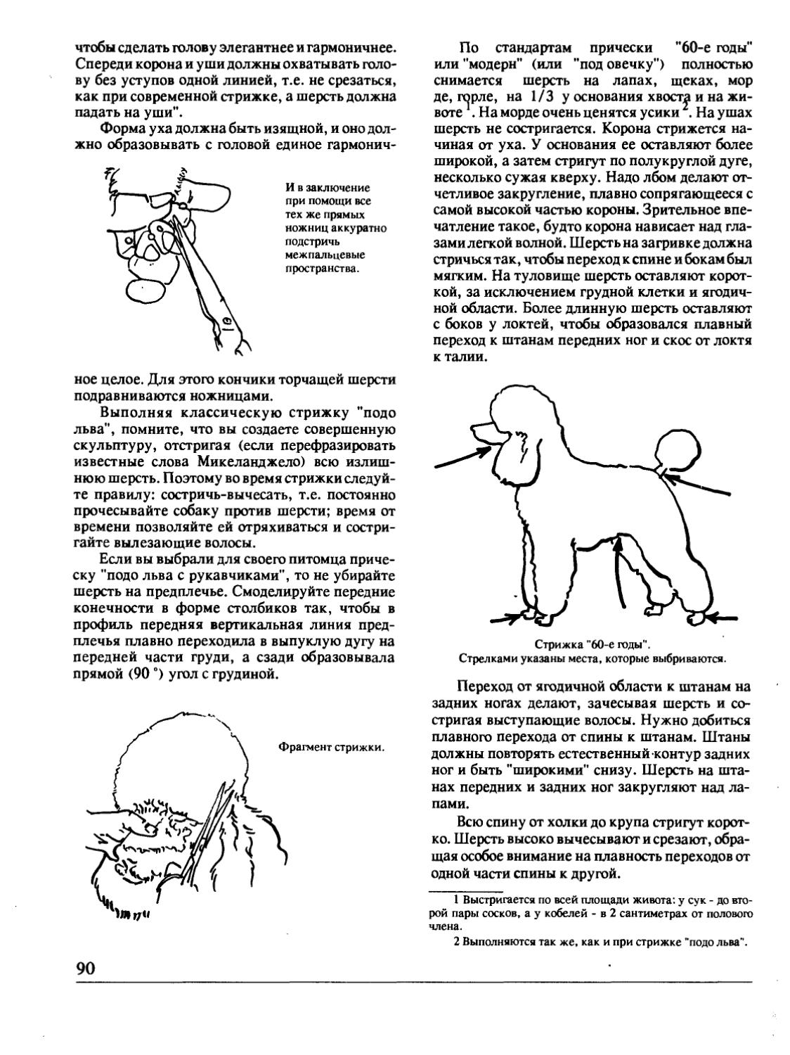 Как вычесывать собаку: правильный способ вычесывания при линьке для длинной и короткой шерсти