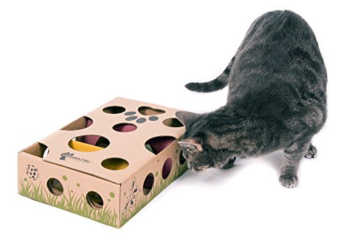 Интеллектуальные развивающие игры для кошек — сайт эксперта по животным — howmeow