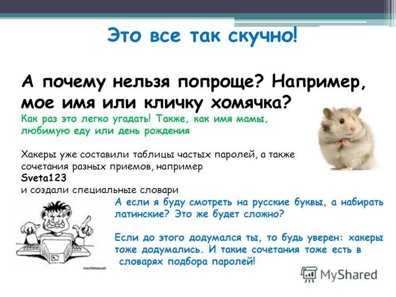 Как назвать хомяка, имена на все случаи жизни