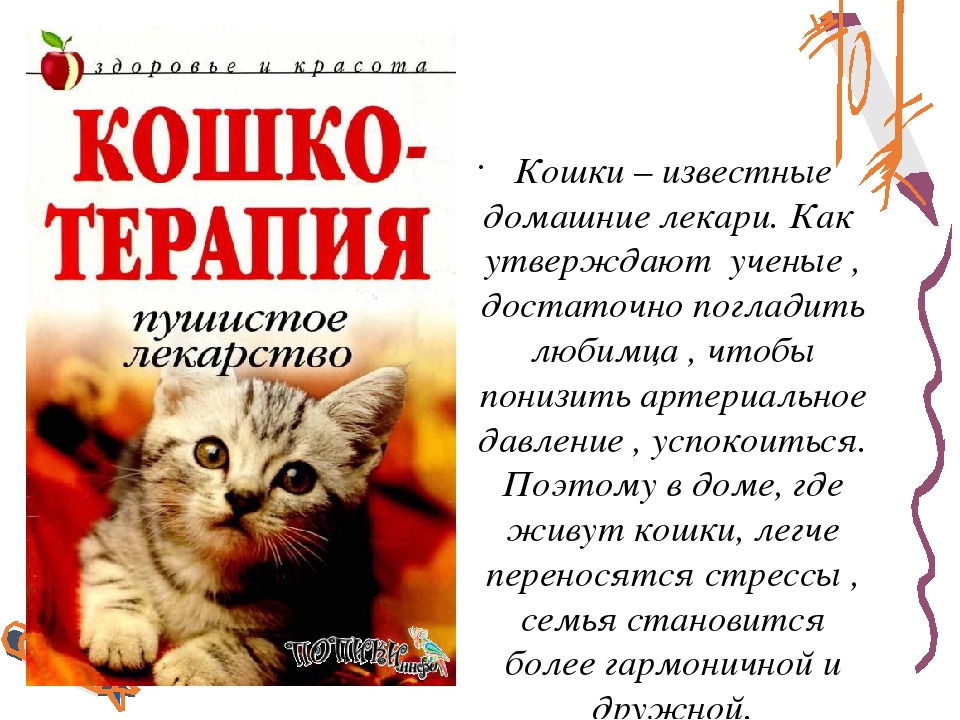20 забавных историй от владельцев котов, чьи питомцы всегда вытворяют что-нибудь эдакое