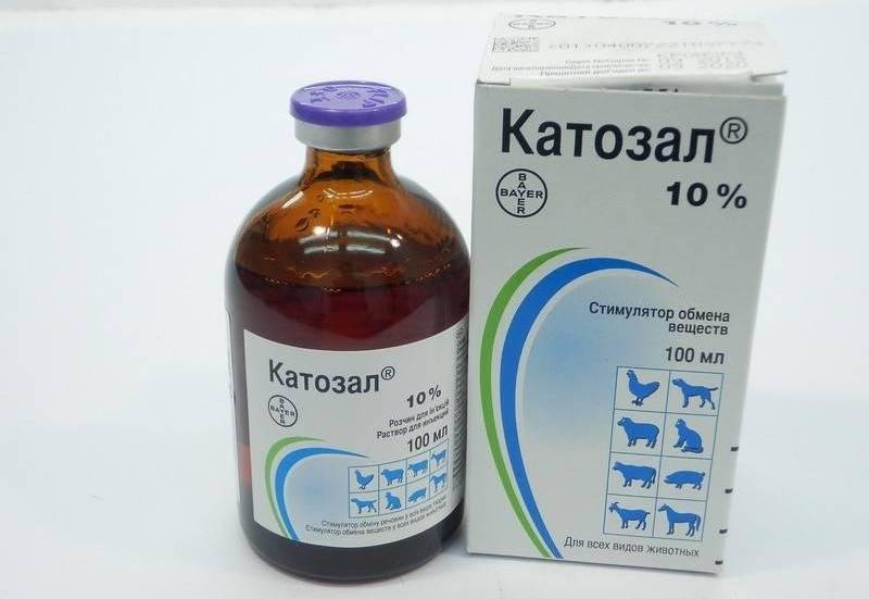 Описание ветеринарного препарата катозал