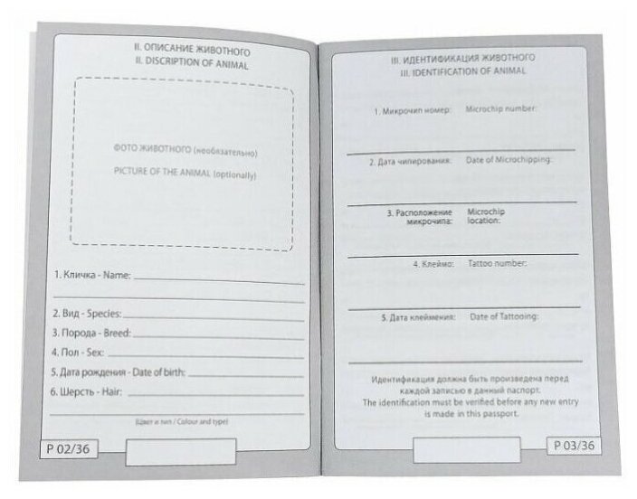 Паспорт для собаки образец