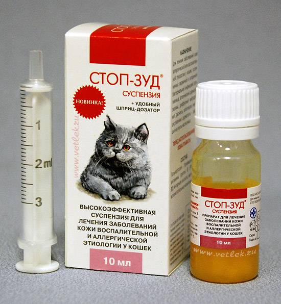 Аллергия на кошек и собак. причины, симптомы и признаки, диагностика и лечение патологии :: polismed.com