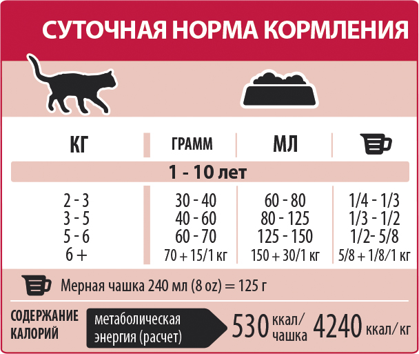Нормы кормления кошек и котов сухим и влажным кормом