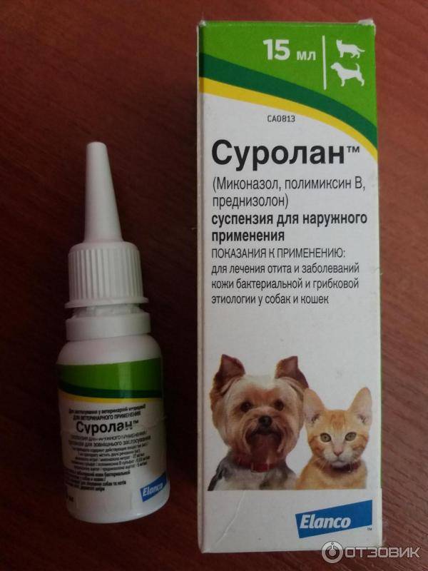 Капли кошке от ушного клеща и другие эффективные препараты