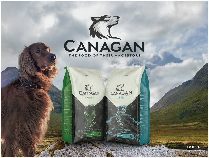 Подробное описание кормов фирмы canagan для маленьких пород собак