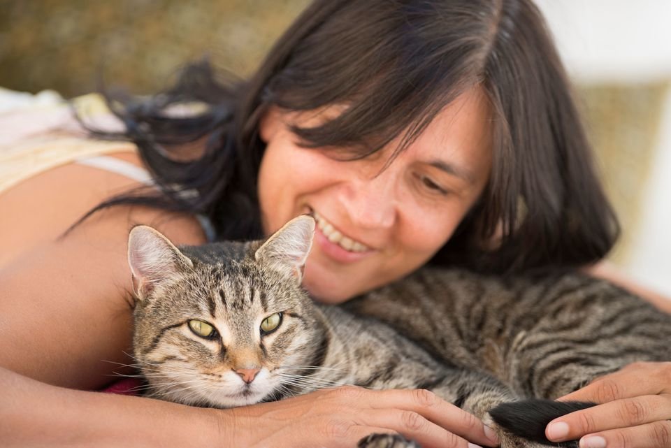 Как кошки благодарят хозяев: 7 способов кошачьего «спасибо»