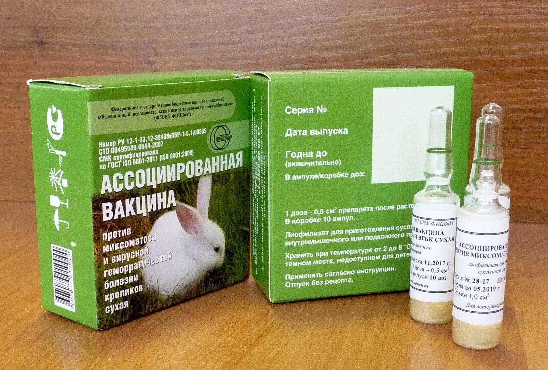Миксоматоз у кроликов: лечение и профилактика в домашних условиях