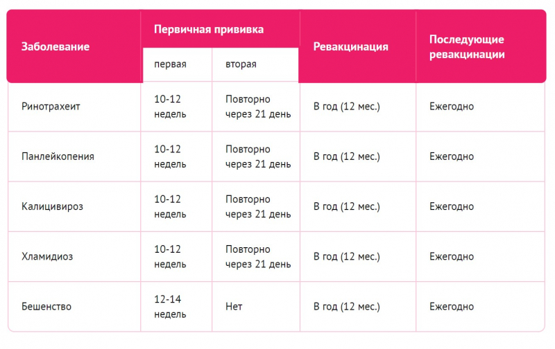 План прививок для котят