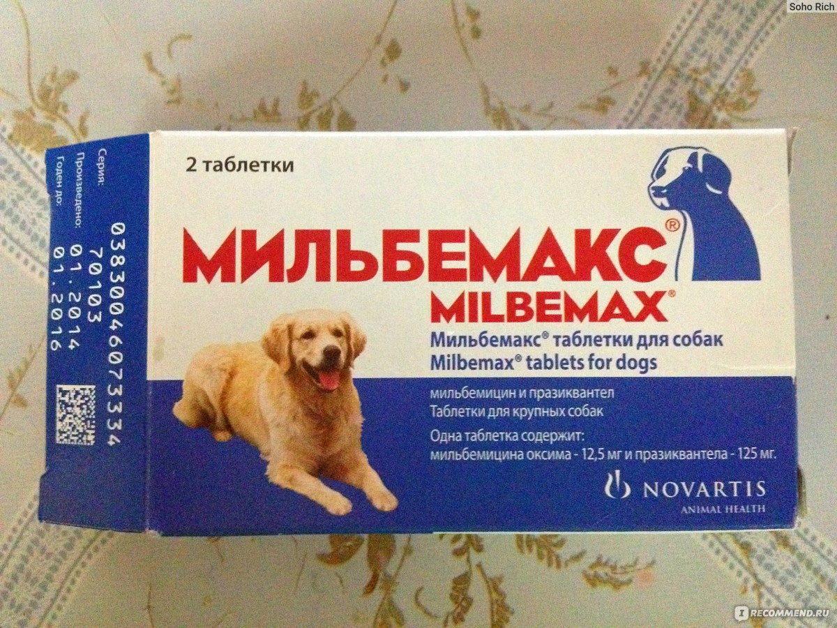 Мильбемакс для собак | таблетки от глистов для собак и щенков