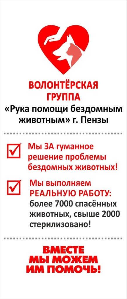 Как социальная сеть помогает животным