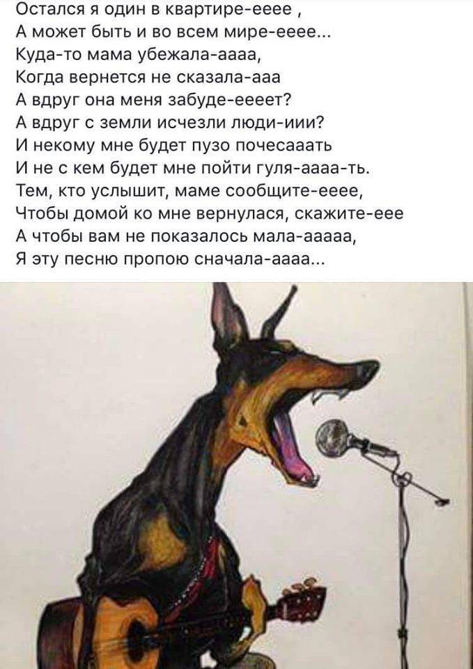 Что по приметам означает вой собаки