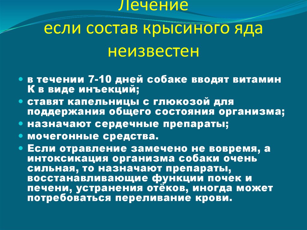 Отравление крысиным ядом кошки – симптомы, лечение и уход