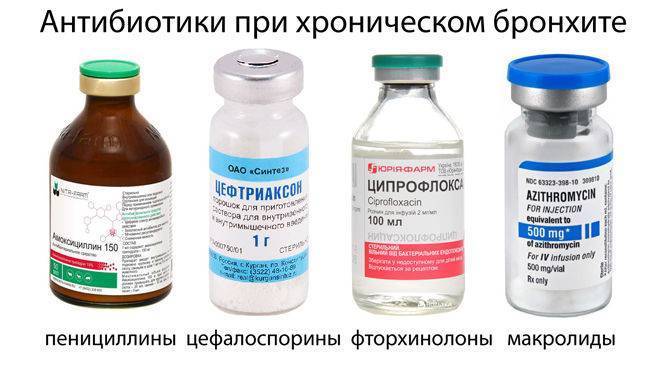 Обзор антибиотиков для кошек: популярные препараты и правила приема, противопоказания