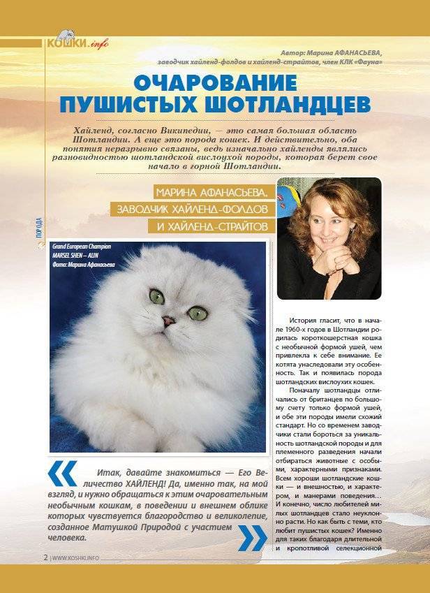 Организация защиты кошек приветствует тех заводчиков, которые регистрируются