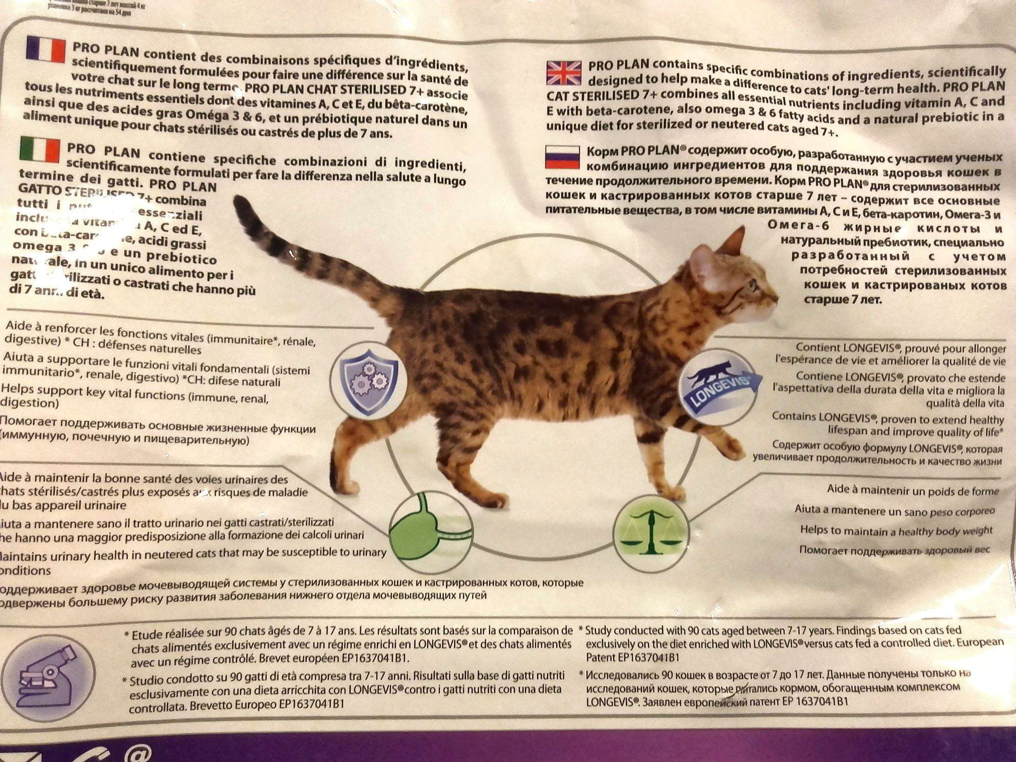 Как и чем кормить кастрированного кота?