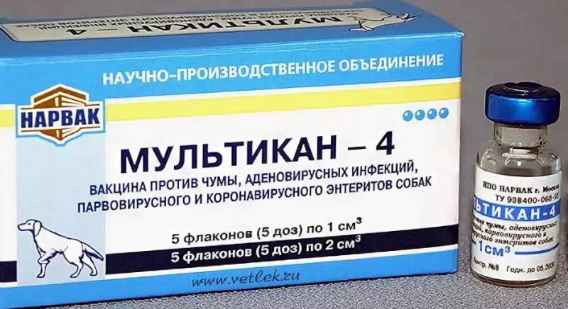 Отит наружный, среднего уха, внутренний. лечение и симптомы отита.